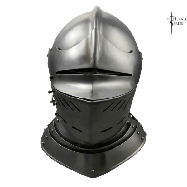 Plate Helmet