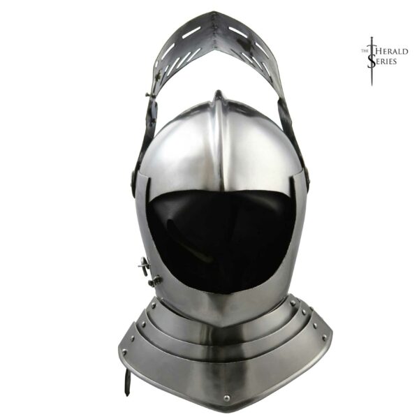Plate Helmet