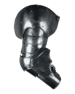 Full Lenght Arm Guards