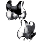 Lena Steel Chest Plate