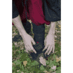 Medieval Cotton Pants