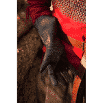 Falconry Gloves